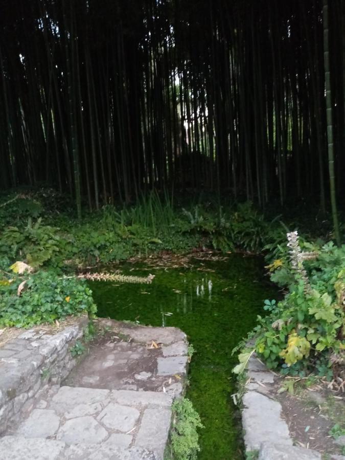La Bella Ninfa Bed & Breakfast Sermoneta Bagian luar foto