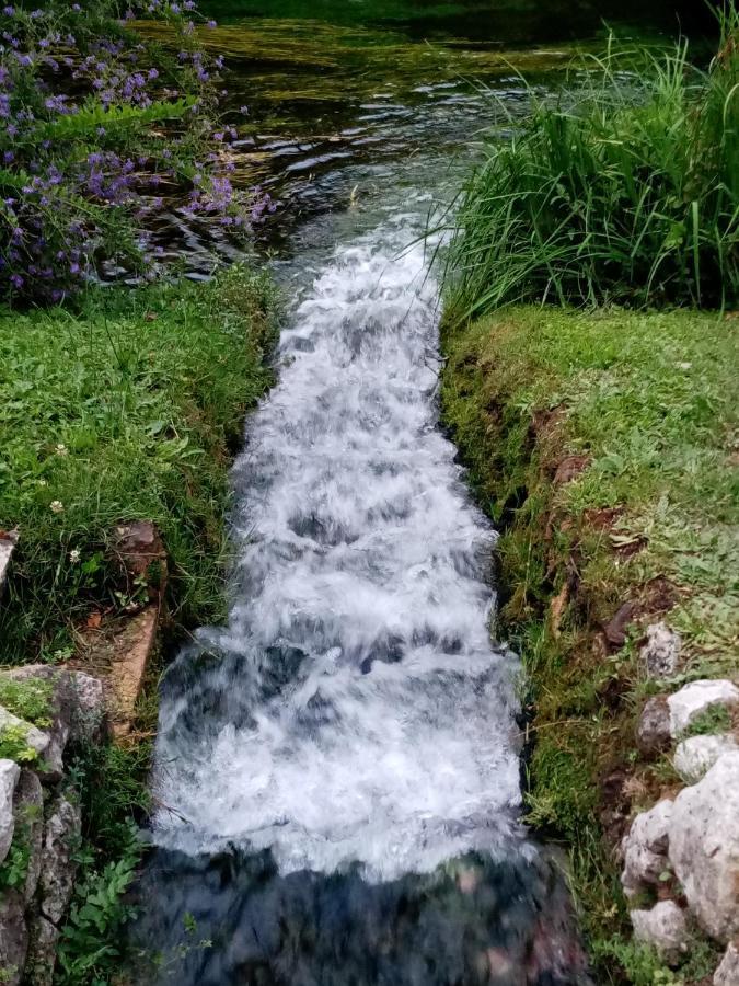La Bella Ninfa Bed & Breakfast Sermoneta Bagian luar foto